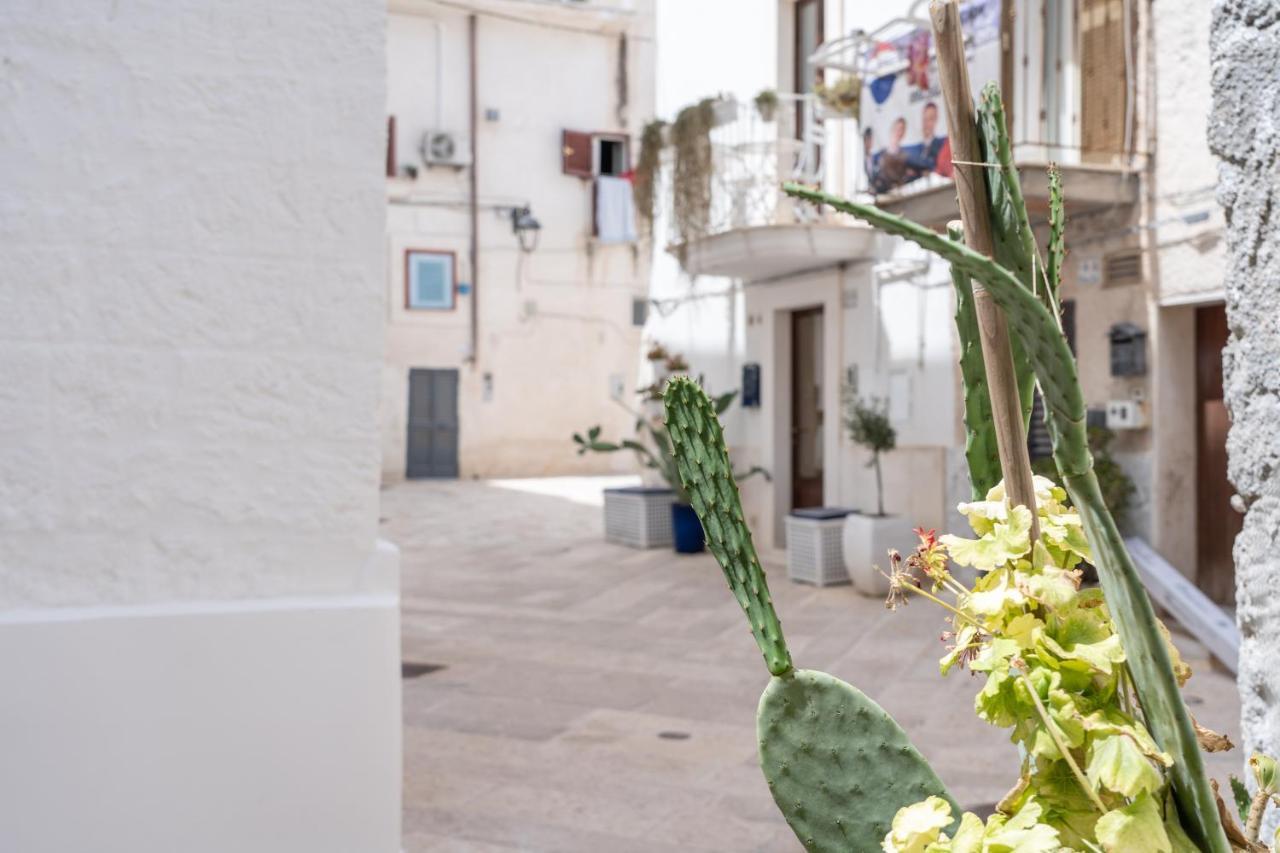 Apartmán Wineart House, Terracielo Indipendente Nel Centro Di Monopoli Exteriér fotografie