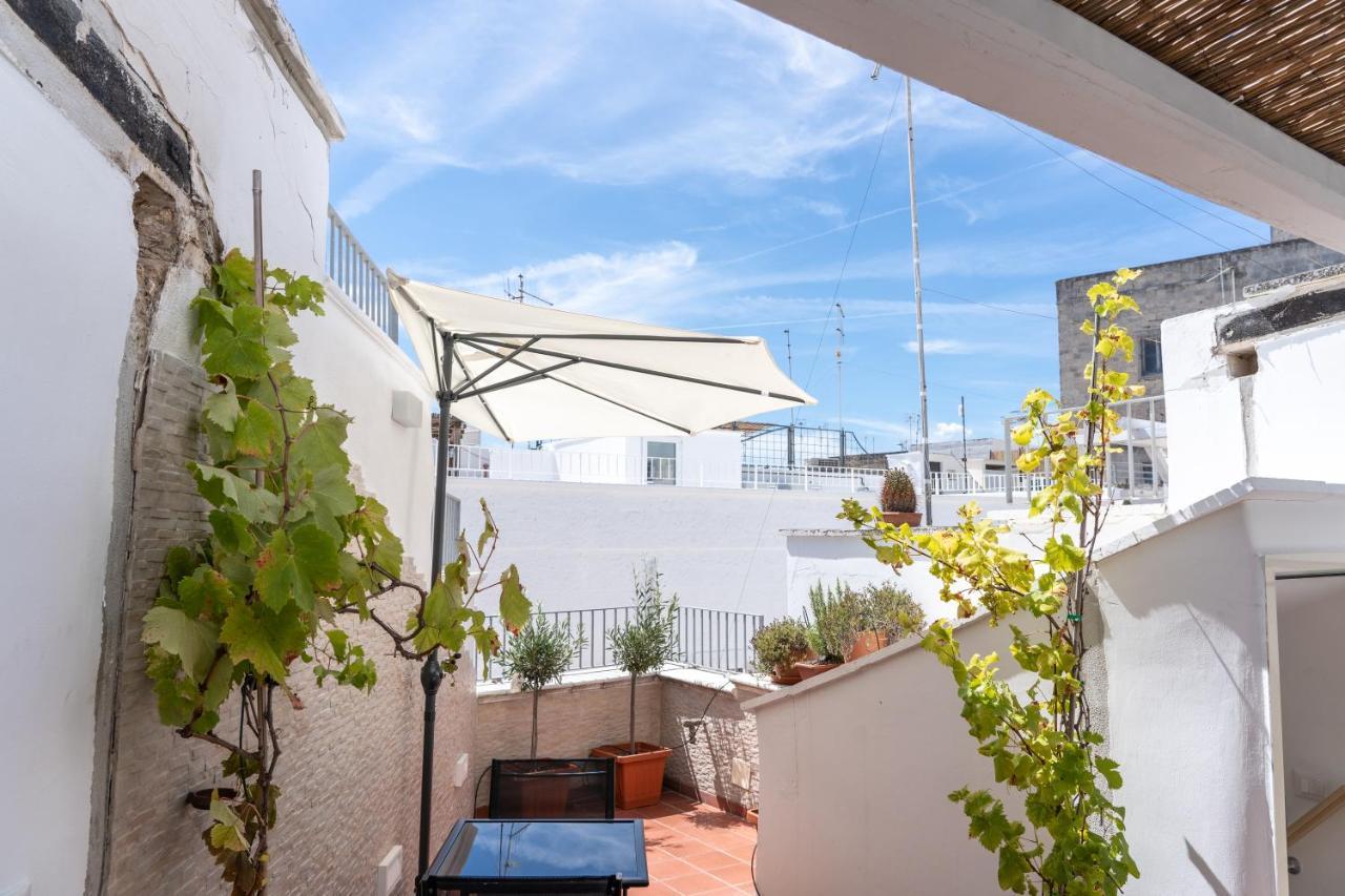 Apartmán Wineart House, Terracielo Indipendente Nel Centro Di Monopoli Exteriér fotografie